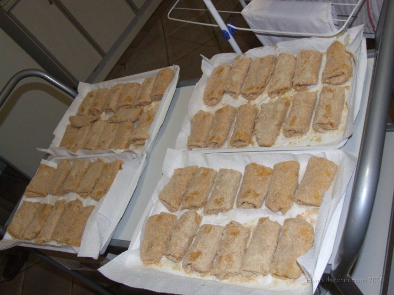 2010_02_26-28Homokkomarom (6).jpg